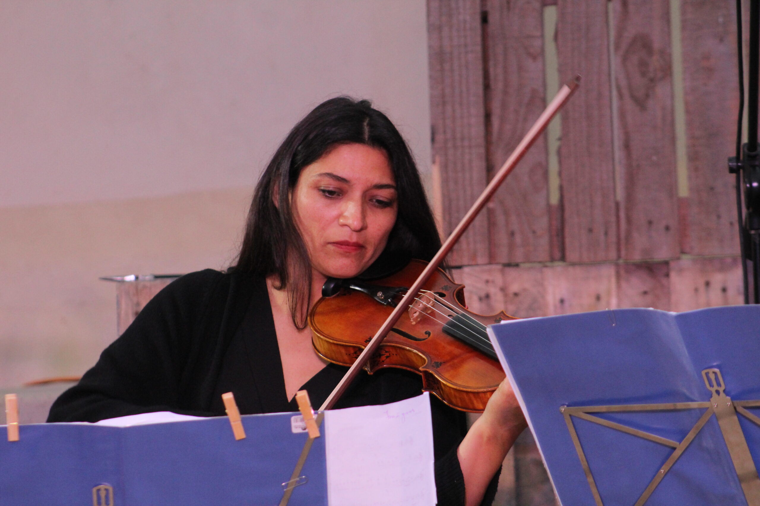 Flamenco, Piazzolla y Beethoven: Músicos de la región encendieron la noche del puerto de Coquimbo